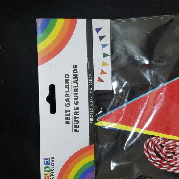 Pride Bundle Flags and Felt Banner - Picture 2 of 3